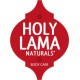 Holy Lama