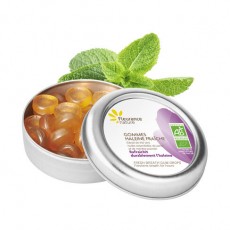 Fleurance Nature: Osvježavajuće pastile, 35g